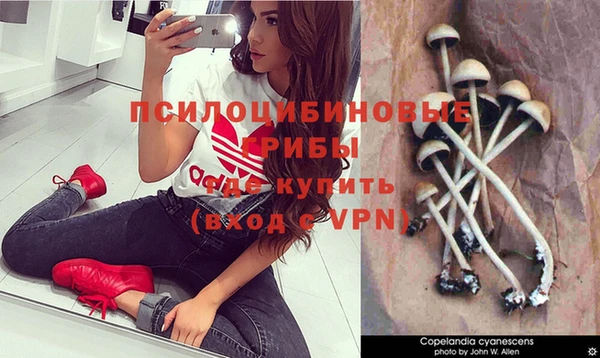 бутират Мегион